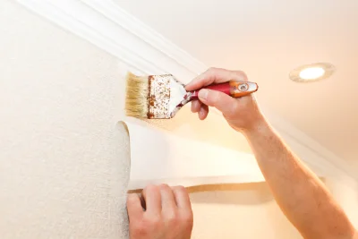 Pose de papier peint à Navacelles — revêtements muraux et toiles de verre